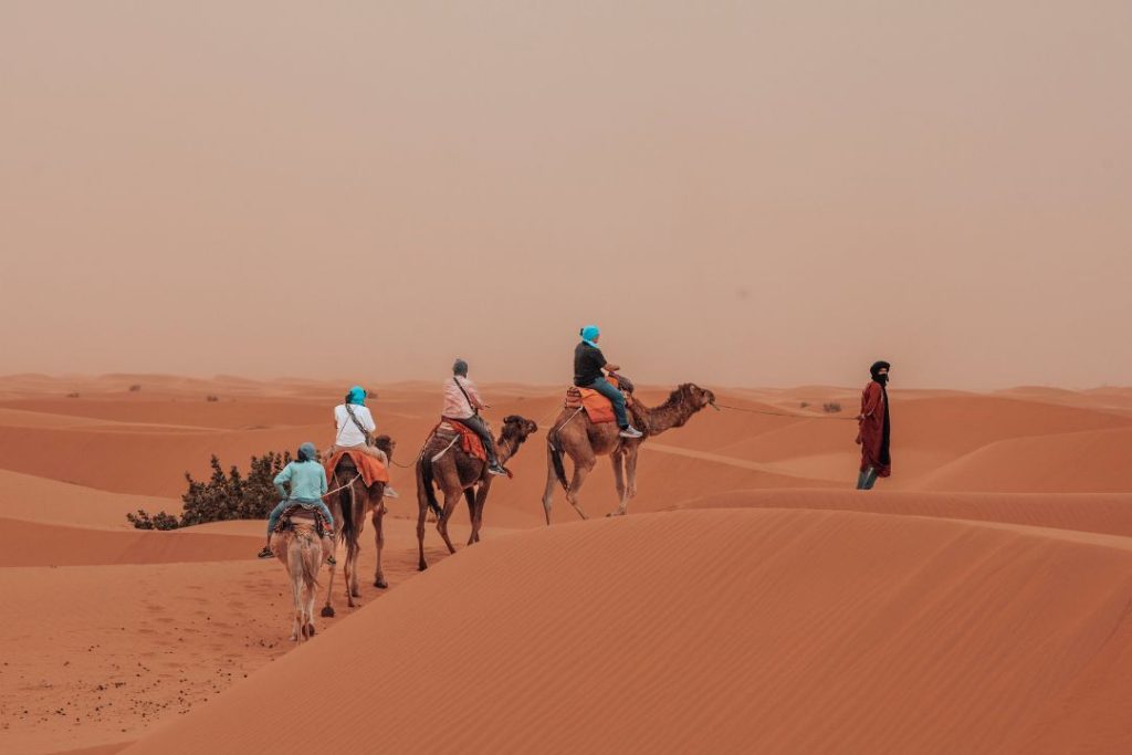 camel trekking of our desert tour from marrakech