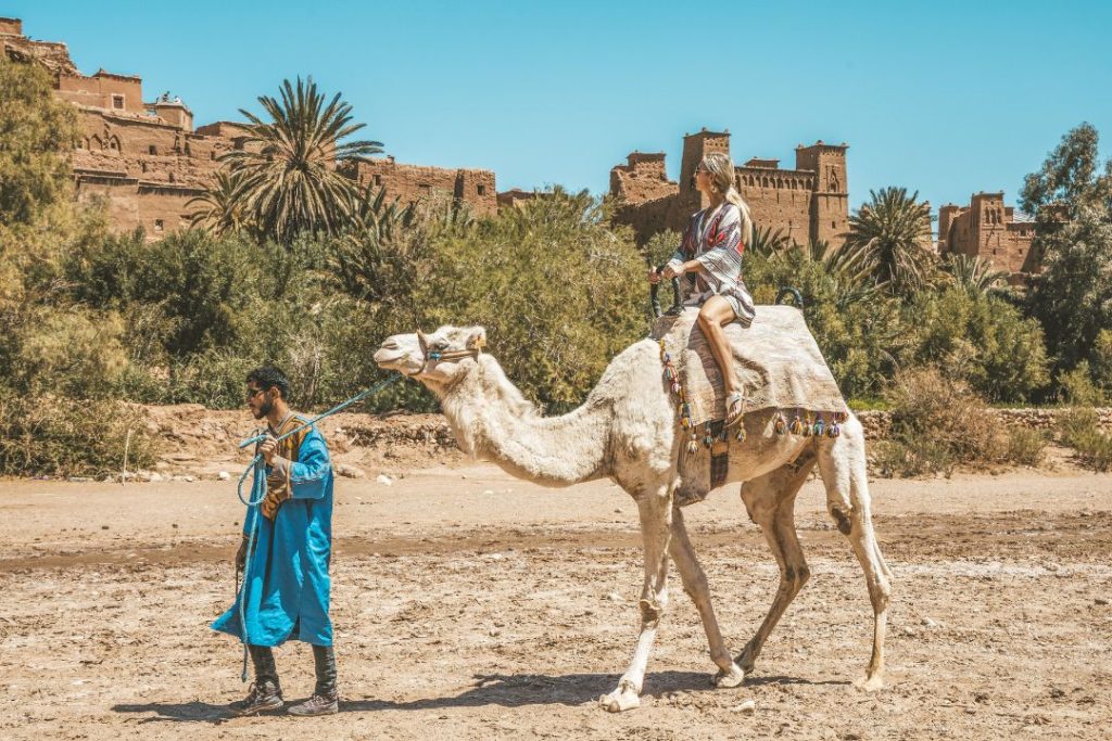 camel trekking in Ait-Ben-Haddou